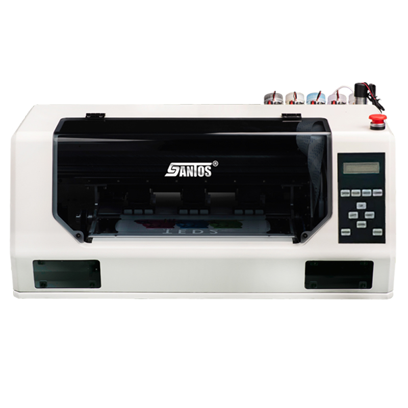 Stampante DTF da 30 cm con tes - Commercial Dtf Printing recensione e prezzo