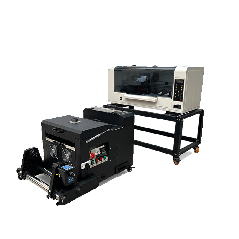 Stampante DTF a doppia testa X - Commercial Dtf Printing recensione e prezzo